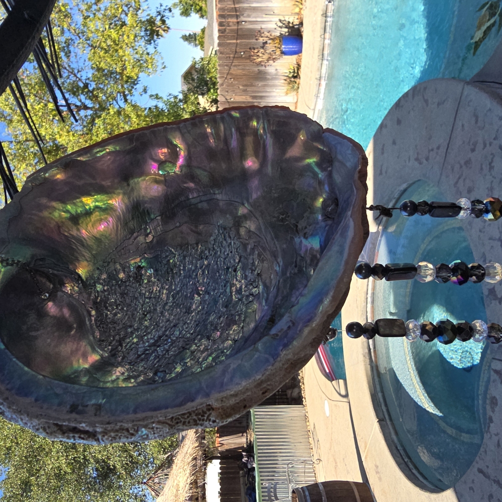 Iridescent Abalone Shell Decorative Bowl